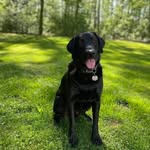 Bill Teeter - @bill.teeter.75 - Instagram
