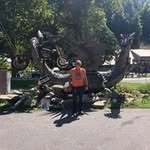 Bill Temple - @billtemple20 - Instagram
