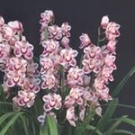 Bill Temple - @temple_bill - Instagram