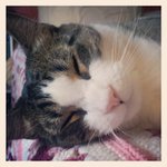 Bill Thacker - @billthackerc0e0 - Instagram