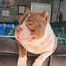 Bill Thomas - Facebook
