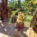 Bill Thorpe - Facebook