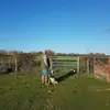 billthorpe8 - @billthorpe8 - TikTok