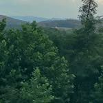 @bill_thurman_21 - Instagram