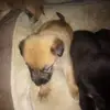 billythurman873 - @billythurman873 - TikTok