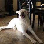Bill Timmons - @bill.timmons.547 - Instagram