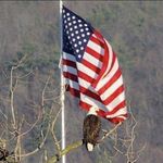 Bill Timmons - @mwtimmons - Instagram