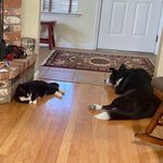 Bill Timmons - @billtimmons6 - Instagram