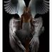 Billy Toler - Facebook