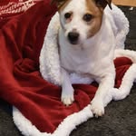 Bill Towers - @bill.towers - Instagram