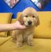 Bill Tran - Facebook