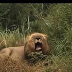Bill Travis - @wmktravis - Instagram