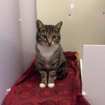 Bill Tribble - @tribble3838 - Instagram
