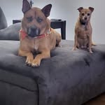 Bill Trickett - @billtrickett - Instagram