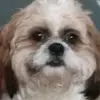 jacobhernandez772 - @triggerbill1 - TikTok