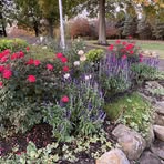 Bill Tritt - Facebook
