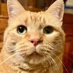 Bill Turpin - @bturpinhfx - Instagram