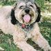 Bill Twomey - Facebook