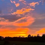 Bill Twomey - @bill.twomey.111 - Instagram