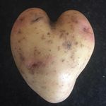 Bill Twomey - @billfromcork - Instagram