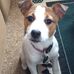 Bill Twomey - Facebook