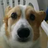 billtyrrell71 - @billtyrrell71 - TikTok