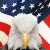 billbuhl - @billbuhl - TikTok