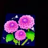 Bill Vang - @bill.vang3 - TikTok