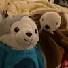 Billy Vang - @billy.vang8 - TikTok