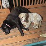 Bill Vermillion - Facebook