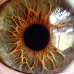 Will Vickers - @the_will_vic - Instagram