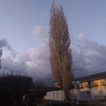 Bill Nicole Vickery - @billnicolevickery - Instagram