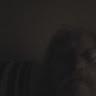 bill vineyard - @billvineyard0 - TikTok