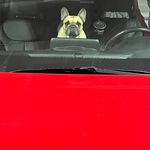 Bill Voigt - @bill.voigt1 - Instagram