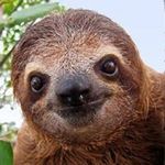 Bill Voss - @bill.voss.351 - Instagram