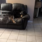 William Wadsworth - Facebook