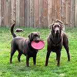 Will Waldrop - @booda720 - Instagram