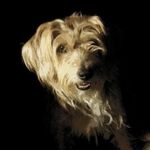 Bill Weatherby - @weblbesees - Instagram
