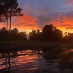 Bill Webb - @bill_webb711 - Instagram