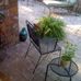 Bill Webb - Facebook