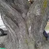Bill Webb - @bill.webb96 - TikTok