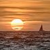 Bill Webb - Facebook