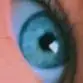 bill.webb - @noface.zone - TikTok