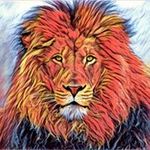 BIll Webber - @bill.webber.543 - Instagram
