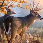 Billy Weimer - @billy.weimer.376 - Instagram