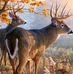 Billy Weimer - Facebook