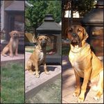Bill Weldon - @bill.weldon.589 - Instagram