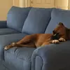 Bill Werner - @bill.werner2 - TikTok