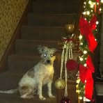 Bill Wesolowski - Facebook