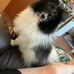 Bill Westbrook - Facebook